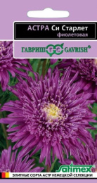 Астра Си Старлет фиолетовая 0,05г цветной пакет серия Эксклюзив Гавриш
