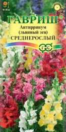 Львиный зев (Антирринум) Среднерослый смесь 0,05г цветной пакет Гавриш
