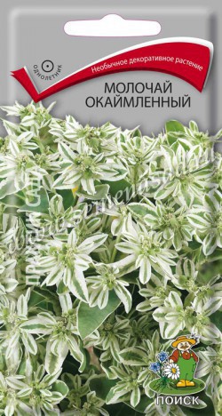 Молочай Окаймленный 0,2г цветной пакет Поиск