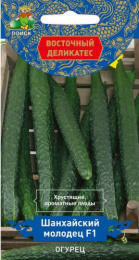 Огурец Шанхайский молодец F1 5шт. цветной пакет серия Восточный деликатес Поиск