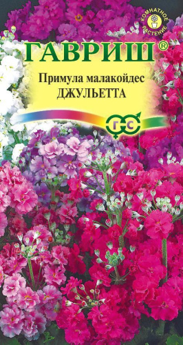 Примула Джульетта малакойдес 10шт. цветной пакет Гавриш