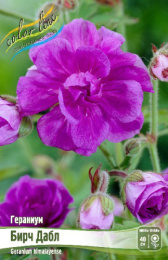 Гераниум Бирч Дабл 1шт. Colorline