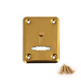 Накладка декоративная Avers DP-01-S-G-shutter Avers 31236