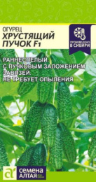 Огурец Хрустящий пучок F1 5шт. цветной пакет Семена Алтая