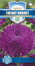 Астра Гигант виолет игольчато-коготковая 0,05г цветной пакет серия Русский богатырь Гавриш