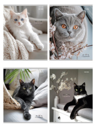 Тетрадь  96 листов Разные домашние коты 96-4319