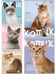 Тетрадь  24 листа клетка Котик на цветном фоне 24-5770
