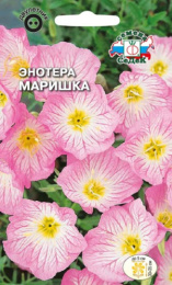 Энотера Маришка розовая 0,1г цветной пакет Седек