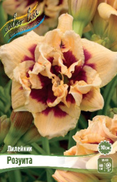 Лилейник Розуита 1шт. Colorline