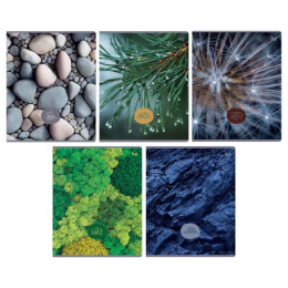 Тетрадь  48 листов BG Детали природы Т5СК48 62707