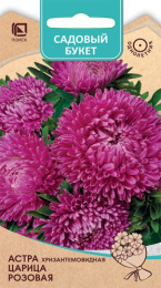 Астра Царица розовая хризантемовидная 0,1г цветной пакет серия Садовый букет Поиск