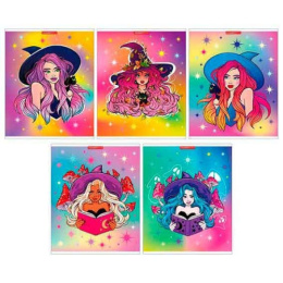 Тетрадь  48 листов Ведьмочки 14078/5