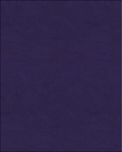 Тетрадь  48 листов бумвинил фиолетовый 11546