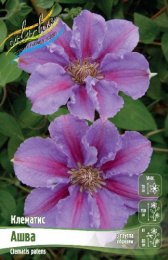 Клематис Ашва 2шт. Colorline