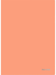 Папка-уголок А4 180мкм, персиковая ПК-8709