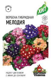 Вербена Мелодия гибридная смесь 0,05г цветной пакет серия Хит Гавриш
