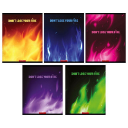 Тетрадь  48 листов Пламя 13015/5