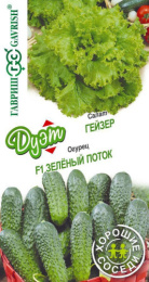 Салат Гейзер 0,5г + Огурец Зеленый поток 0,3г цветной пакет серия Дуэт Хорошие соседи Гавриш
