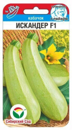 Кабачок Искандер F1 3шт. цветной пакет Сибирский сад