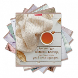 Тетрадь  48 листов ErichKrause Hygge style 54260