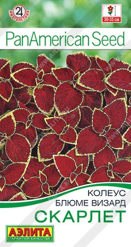 Колеус блюме Скарлет  5шт. цветной пакет Аэлита