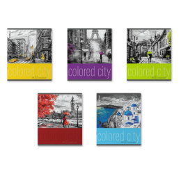 Тетрадь  48 листов ErichKrause Colored City Mix Pack 58275