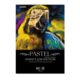 Папка для пастели А5 10 листов Devente, 120г/м2, черный 2132904