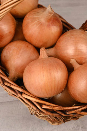 Лук репчатый Классика 1г цветной пакет Поиск