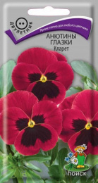 Анютины глазки (Виола) Кларет 0,2г цветной пакет Поиск