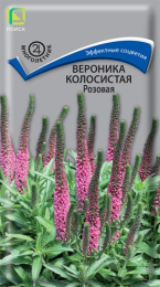 Вероника Розовая колосистая 0,1г цветной пакет Поиск