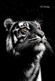 Тетрадь  96 листов А4 Тигр на черном, гребень С0268-24