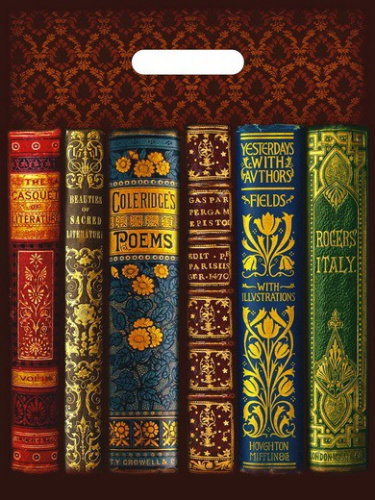 Пакет подарочный ПВД 30х40см 50мкм Книги ПВ3040КНИ