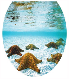 Сиденье для унитаза мягкое с рисунком Морские звезды Океан В-14