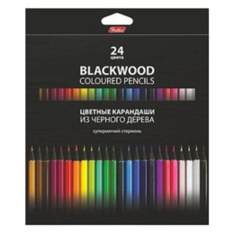 Карандаши цветные 24 цвета Hatber Black Diamond BKc_24830