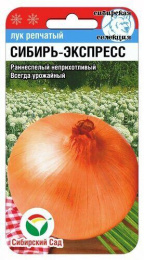 Лук репчатый Сибирь-Экспресс 1г цветной пакет Сибирский сад