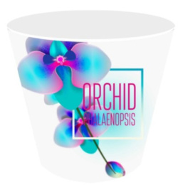 Горшок для орхидей пластиковый London Orchid Deco 1,6л d-16см голубая орхидея InGreen ING6196ГЛ