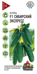 Огурец Сибирский экспресс F1 10шт. цветной пакет серия Удачные семена Гавриш