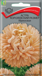 Астра королевский размер абрикосовая 0,1г цветной пакет Поиск