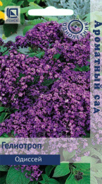 Гелиотроп Одиссей древовидный 0,03г цветной пакет Ароматный сад Поиск