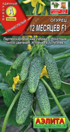 Огурец 12 месяцев F1 10шт. цветной пакет Аэлита