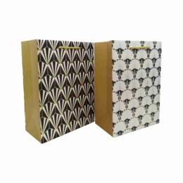 Пакет подарочный бумажный 50х72х18см Радужный Дом РД21937