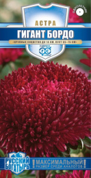 Астра Гигант бордо игольчато-коготковая 0,05г цветной пакет серия Русский богатырь Гавриш