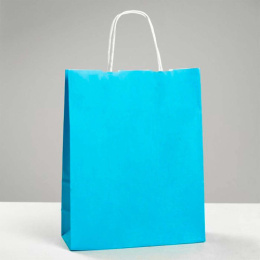 Пакет подарочный бумажный 21х27х11см Радужный Дом РД21430