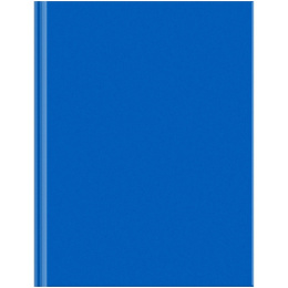 Блокнот А5  80 листов Биз BG Для конференций, синий, книжный переплет ББ5Т80_ЛГ 36815