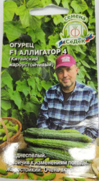 Огурец Аллигатор 4 F1 0,2г цветной пакет Седек