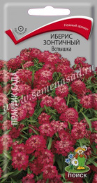 Иберис Вспышка зонтичный 0,3г цветной пакет Поиск