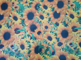 Термоскатерть ПВХ прямоугольная  60х100см двусторонняя, в ассортименте