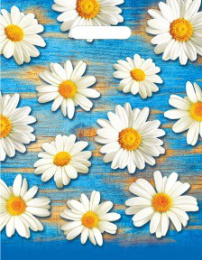 Пакет подарочный ПВД 30х40см 35мкм Полли ПВ3040ПЛ