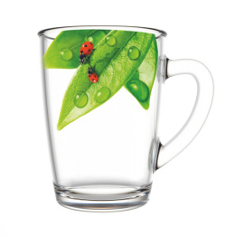 Кружка стеклянная 300мл Капучино Живая природа. Зеленый лист Декостек 334-Д