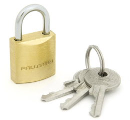 Замок навесной Palladium 301В-25 52180